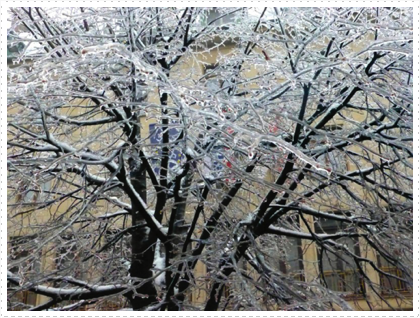 Ice Storming Bratislova