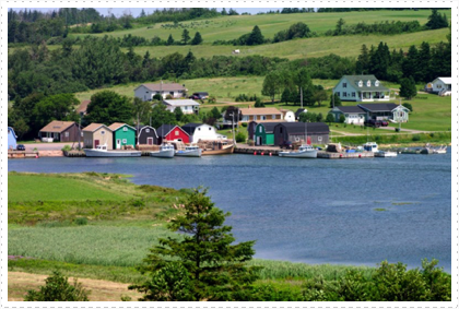 Fresh mussels from this bay, direct...

...