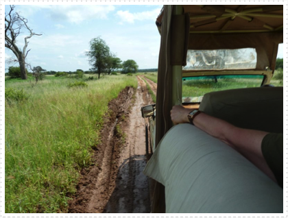 Why do they call the roads "tracks"?