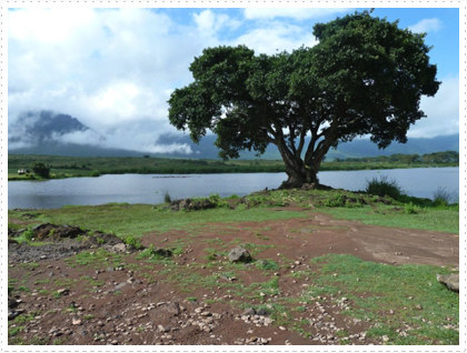 Hippo Pool and our Lunch Stop